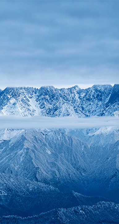 关于K8凯发国际